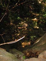 vue d'une cascade